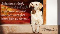 Ein Schoner Spruch Spruche Hunde Und Schone Spruche