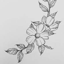 May 10, 2019 · disegni a matita facili da copiare. Risultati Immagini Per Fiori Disegni A Matita Fiori Disegnati A Matita Idee Per Tatuaggi Illustrazioni Floreali