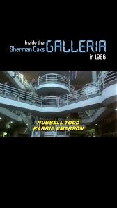 Filmed 40 years ago, this is the opening credits sequence to the  incredibly-named cult classic horror film “Chopping Mall,” from  writer/director Jim Wynorski., Sure, Halloween is over now, and I’m ...