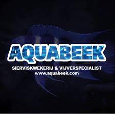 https://encrypted-tbn0.gstatic.com/images?q=tbn:ANd9GcTbeANBthhrax-vm6UoGjbyFRDF-5yMyDZbuxaq3Abfgs_u_xY3doQ32xl2ZE1-sOgb_OI&usqp=CAU</p><p>