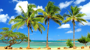 Looking for the best hawaii hd wallpaper 1920x1080? 33 4k Hawaii Wallpapers For Desktop