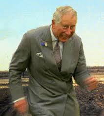 All your memes, gifs & funny pics in one place. Image 367180 Dancing Prince Charles Know Your Meme