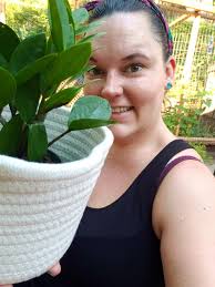 ZZ plant care in dark corners