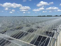 Johnson begroet biden in europa: Floranews Com Laatste Kavel Glastuingebied Siberie In Venlo Verkocht