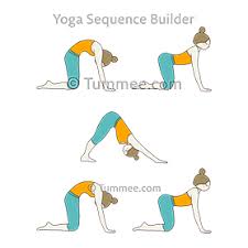 Cat Cow Pose Downward Facing Dog Pose Flow Yoga Bitilasana Marjaryasana Adho Mukha Svanasana Vinyasa Yoga Sequences Benefits Variations And Sanskrit Pronunciation Tummee Com