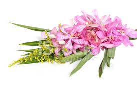 Les orchidées sont exotiques et belles, faisant pour un bouquet parfait pour n'importe qui dans votre vie. Bouquet D Orchidees Photos Freeimages Com