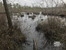 Maybe you would like to learn more about one of these? Wharton State Forest Loop Mullica River Trail Beaver Pond Quaker Bridge Trail Wilderness Connector Loop Shamong Nj South Jersey Trails