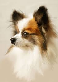 Rembrantus The Art Of Realistic Portrait Painting Painting Gallery Dog Paintings Animal Paintings Papillon Dog