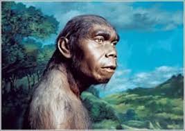 Megantropus Paleojavanicus Berasal Dari Mana Dan Ditemukan Dimana Serta Ciri Cirinya Brainly Co Id