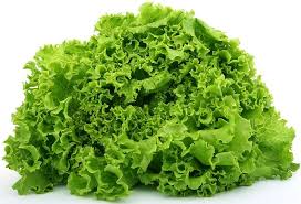 Had a cat that loved black olives. Can Cats Eat Lettuce Petr 3viewz