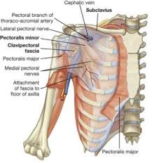 Pin On Workouts
