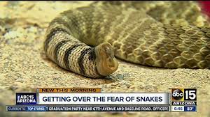 Scared Of Snakes? This Phoenix Event May Help You Get Over Your Fears -  Youtube