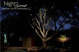 Sometimes Down Lighting Through A Tree Is A Great Effect Www Night Scenes Com Landscape Lighting Landscape Lighting Design Landscape