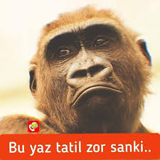 Mert Mert Adli Kullanicinin Dogal Saglik Panosundaki Pin 2020 Komik Seyler Komik Alintilar Komik