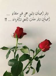 صور رومانسيه أجمل الصور الرومانسية مكتوب عليها كلام حب بفبوف love words love quotes wallpaper arabic love quotes. ØµÙˆØ± Ø±ÙˆÙ…Ø§Ù†Ø³ÙŠØ© Ù„Ø­Ø¨ÙŠØ¨ÙŠ Ù…ÙƒØªÙˆØ¨ Ø¹Ù„ÙŠÙ‡Ø§ ÙƒÙ„Ø§Ù… Ø¬Ù…ÙŠÙ„ Ø¹Ù† Ø§Ù„Ø­Ø¨ ÙÙˆØªÙˆØ¬Ø±Ø§ÙØ±