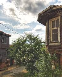 Beykoz Istanbul Instagram Kesif Istanbul
