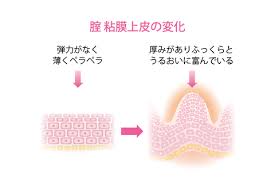 Image result for Atrophic Vaginitis