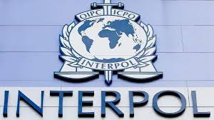 Interpol then distributes this notice to the 194 member countries requesting the individual's arrest. 6kbd7hmks7pgxm