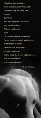Pablo Neruda Declaro Cuatro Perros From The Sea And The Bells Trans William O Daly Scruffy Dogs I Love Dogs Doggie Style