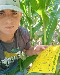 🐻Internship Spotlight 🐻 Meet Ethan Ball! Ethan is an Agricultural  Business Finance/Management major. He completed his internship in Golden  City, MO, as an Ag Sales Intern at NextGeneration Ag in partnership with