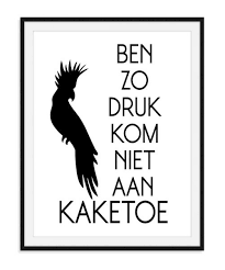 https www kjekk nl data upload shop images kaketoe1 jpg badkamer citaten tekst grapjes grappige posters
