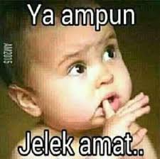 Gambar lucu emang selalu bisa jadi mood booster, apalagi kalau dibagikan di grup wa. Gambar Stiker Lucu Dan Gokil Wa Download Kumpulan Gambar