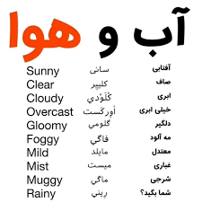 نمونه کار????????????