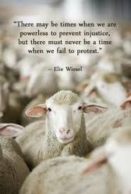Stop The Cruelty Live Export Australia Vegan Quotes Animal Activism Animal Quotes