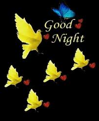 Bird Of Paradise Meaning In Hindi Pin By Yallappa Uppar On Good Night Good Night Image Good Night Sister Good Night Blessings