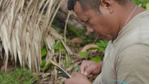 A journey of faith: Venturing into the jungles of Suriname, Evangelical  Focus