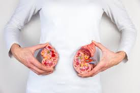 Acide Urique Eleve Un Risque De Calcul Renal