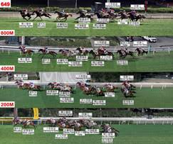 The website collected by this website comes from the. è³½æžœ è³½äº‹è³‡æ–™ è³½é¦¬è³‡è¨Š é¦™æ¸¯è³½é¦¬æœƒ