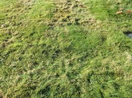 John Stephen Vos (1937-1984)