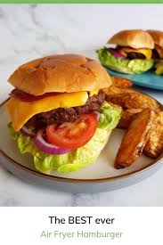 Cook the burgers for 15 minutes, flipping once in between the cooking time. Air Fryer Hamburgers So Juicy Easy Hint Of Healthy