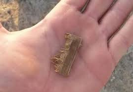 In Honor Of Head Check Sunday Here S A 2 000 Yr Old Lice Comb From The Roman Period We Did Our Head Checks With Our Kapow Nit Dead Sea Relic Dead Sea Scrolls