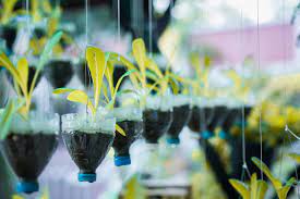 Check out our empty bottles selection for the very best in unique or custom, handmade pieces from our shops. Modern Hanging Plants Wall From Recycled Plastic Bottles