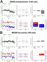 Sebab itu jika anda mencari borang perekodan pbs tahun 4, 5. In Vivo Electrophysiological Validation Of Dreadd Based Inhibition Of Pallidal Neurons In The Non Human Primate Biorxiv
