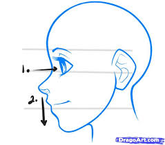 If you're looking for a website with the best selection of training you're in the right place. Anime Side View Proportions Anime Drawings Girl Side Profile Drawing Cartoon Drawing Tips