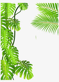 Image Freeuse Royalty Free Clip Art Forest Royaltyfree Tropical Rainforest Tropical Leaves Png Transparent Png 5877x6031 Free Download On Nicepng Discover 75 free tropical leaves png images with transparent backgrounds. image freeuse royalty free clip art