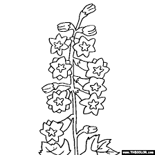 They help us to know which pages are the most and least popular and see how visitors move around the site. Flower Coloring Pages Color Flowers Online