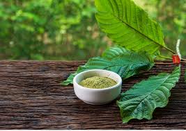 Can you fly with Kratom inside your bag? | TravelDailyNews International