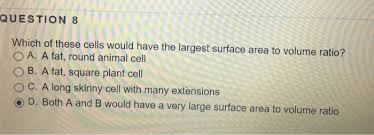 Maybe you would like to learn more about one of these? Which Of These Cells Would Have The Largest Surface Chegg Com