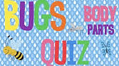 Pixie dust, magic mirrors, and genies are all considered forms of cheating and will disqualify your score on this test! Bugs Quiz Youtube