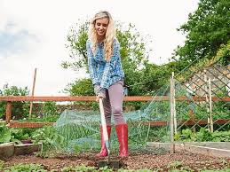 We did not find results for: How To Improve Your Body Mind And Your Garden Leinster Express