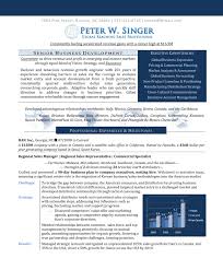 c suite & senior executive resume
