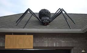 The giant house spider was once enlisted in the guinness book of world records for its speed (1.18 mph). Giant Halloween Spider Halloween Spider Outdoor Halloween Halloween Outside
