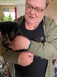 Pandora Has Her Forever Home!!😄 This lucky girl is looking forward to a  loving, beautiful life ahead.