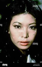 The protectors 1973 hi-res stock photography and images