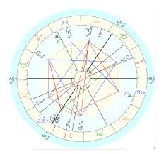 Star Paws The Day My Dog Met An Astrologer Huffpost Uk