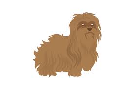 Download Yorkshire Terrier Silhouette Svg Free Svg Cut Files Create Your Diy Projects Using Your Cricut Explore Silhouette And More The Free Cut Files Include Svg Dxf Eps And Png Files SVG Cut Files